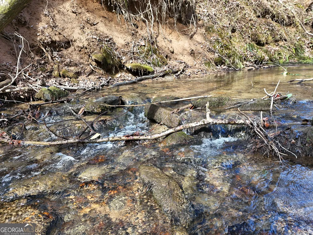 LT 45A Synacia DR Mineral Bluff, GA 30559