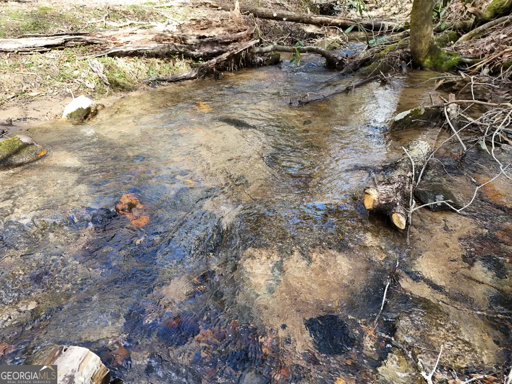 LT 45A Synacia DR Mineral Bluff, GA 30559