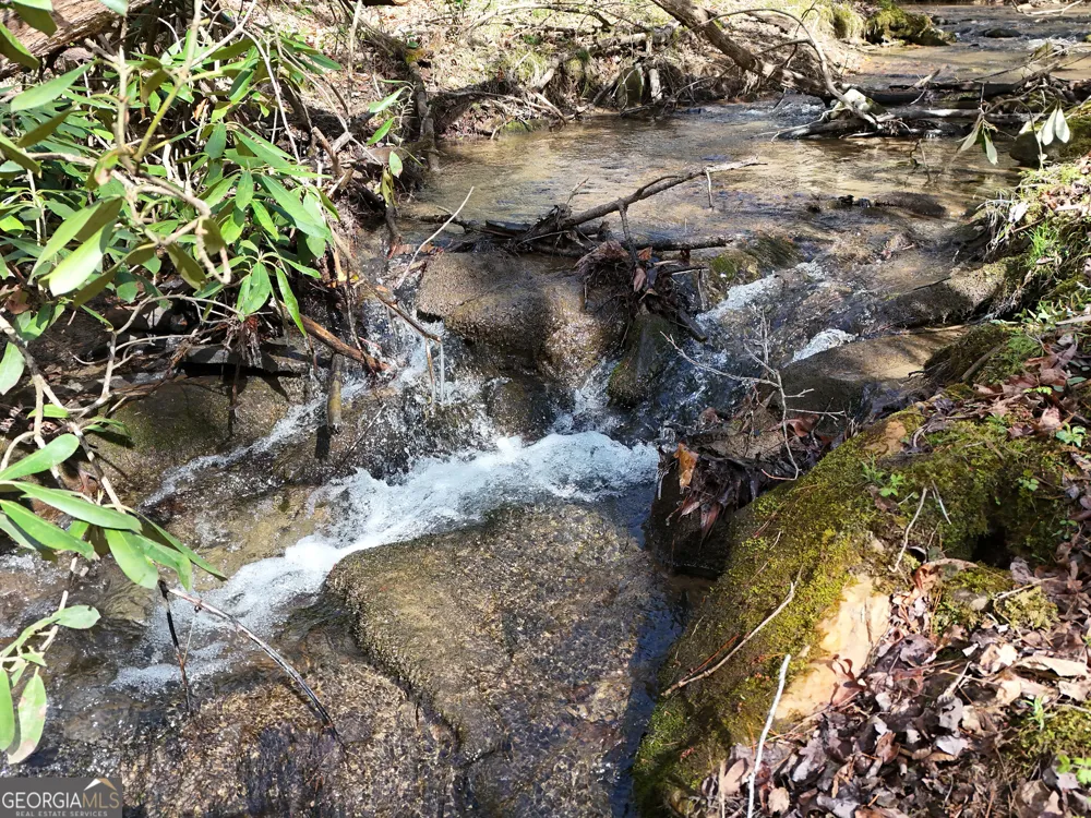 LT 45A Synacia DR Mineral Bluff, GA 30559