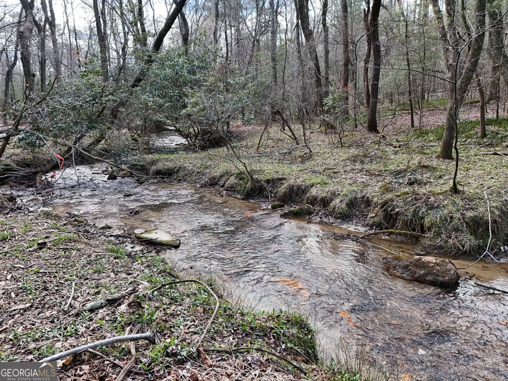 LT 45A Synacia DR Mineral Bluff, GA 30559