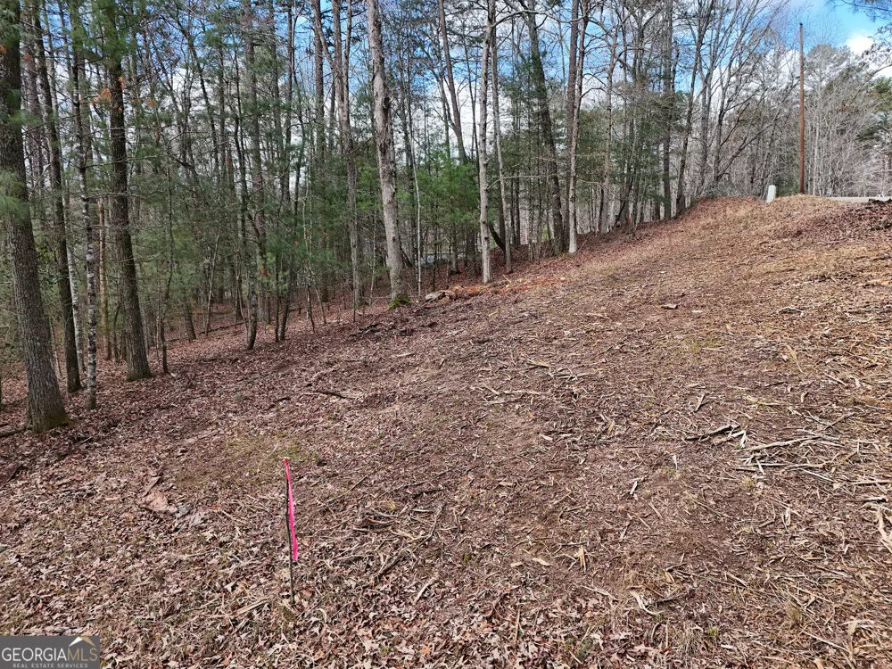 LT 45A Synacia DR Mineral Bluff, GA 30559