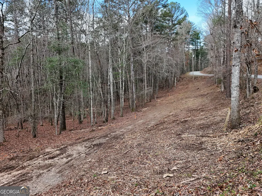 LT 45A Synacia DR Mineral Bluff, GA 30559