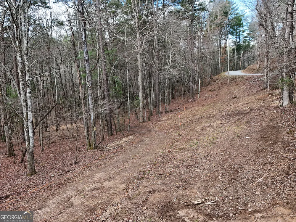 LT 45A Synacia DR Mineral Bluff, GA 30559