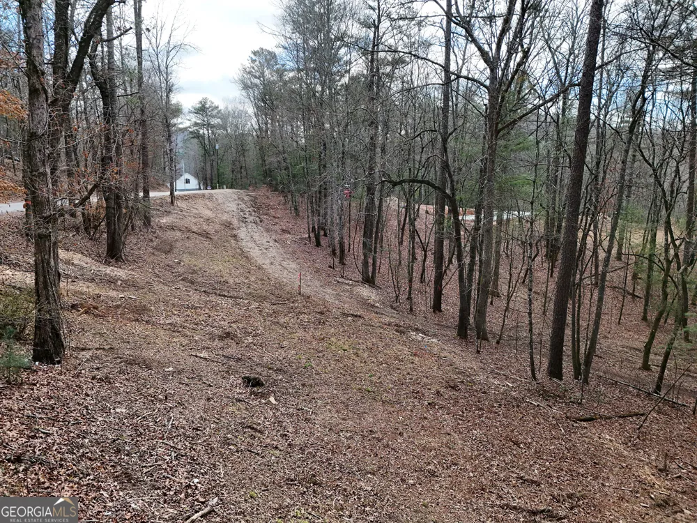 LT 45A Synacia DR Mineral Bluff, GA 30559