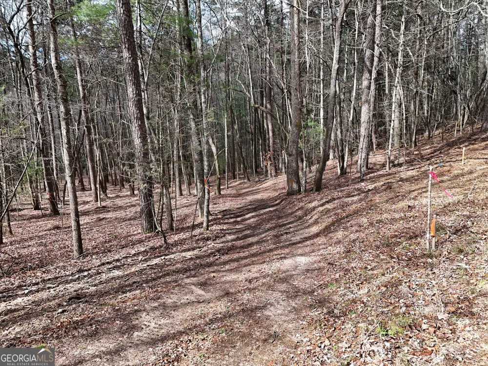 LT 45A Synacia DR Mineral Bluff, GA 30559