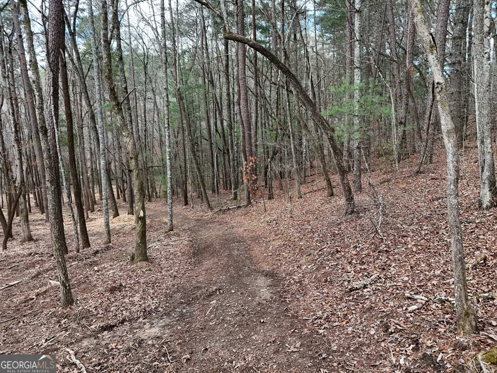 LT 45A Synacia DR Mineral Bluff, GA 30559