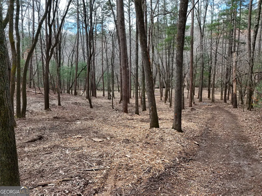 LT 45A Synacia DR Mineral Bluff, GA 30559
