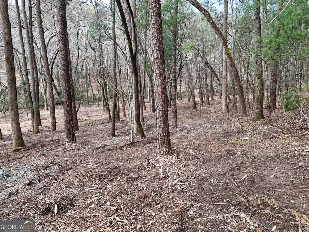 LT 45A Synacia DR Mineral Bluff, GA 30559