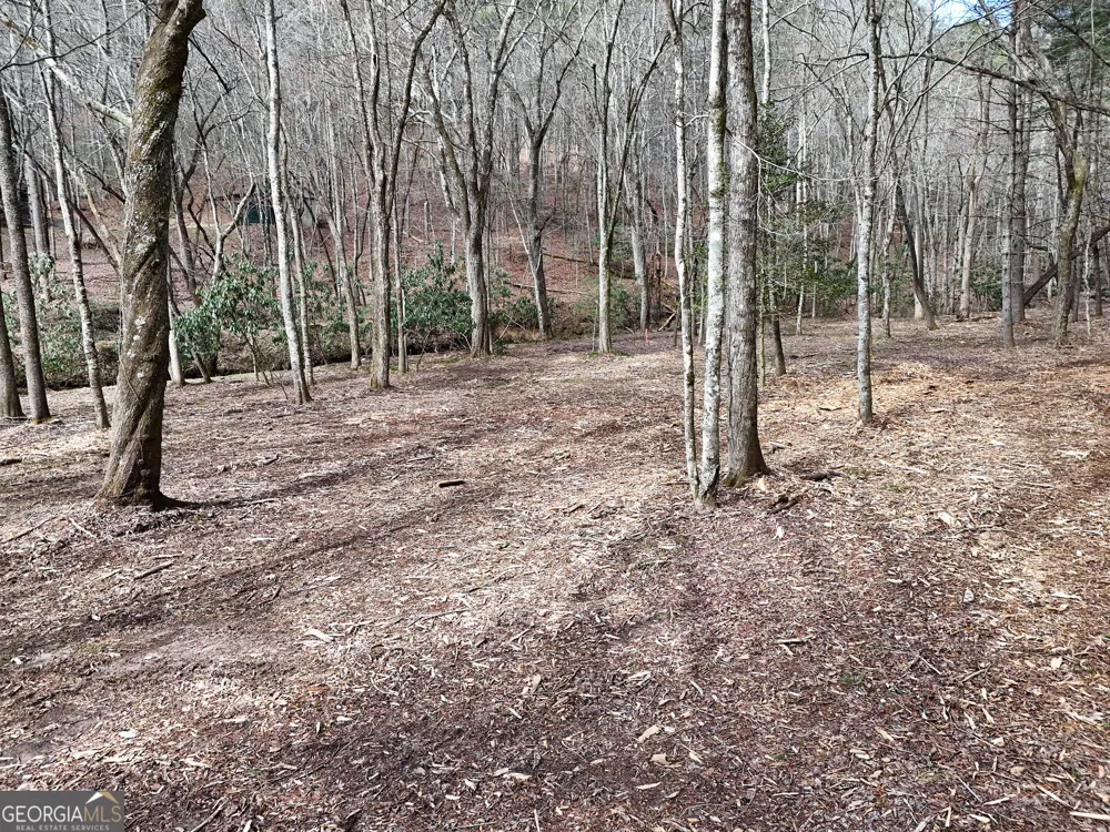 LT 45A Synacia DR Mineral Bluff, GA 30559