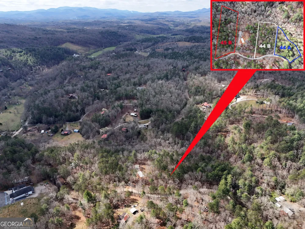 LT 45A Synacia DR Mineral Bluff, GA 30559