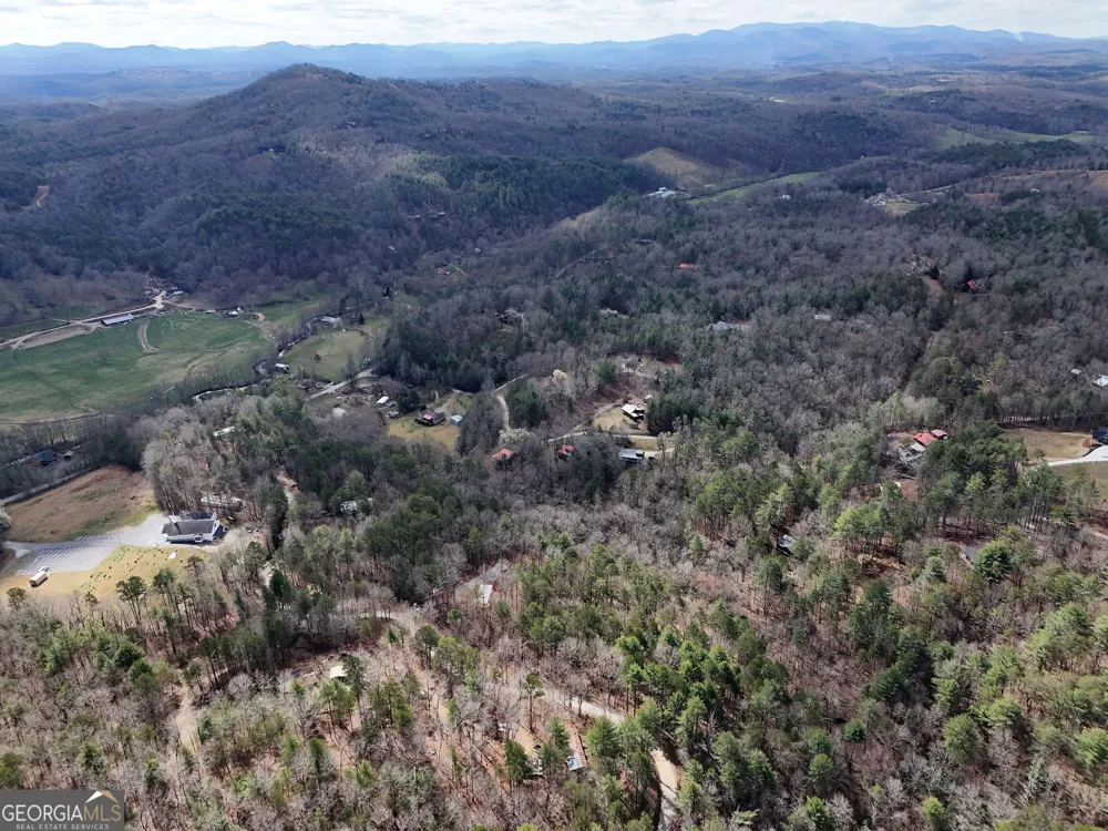 LT 45A Synacia DR Mineral Bluff, GA 30559