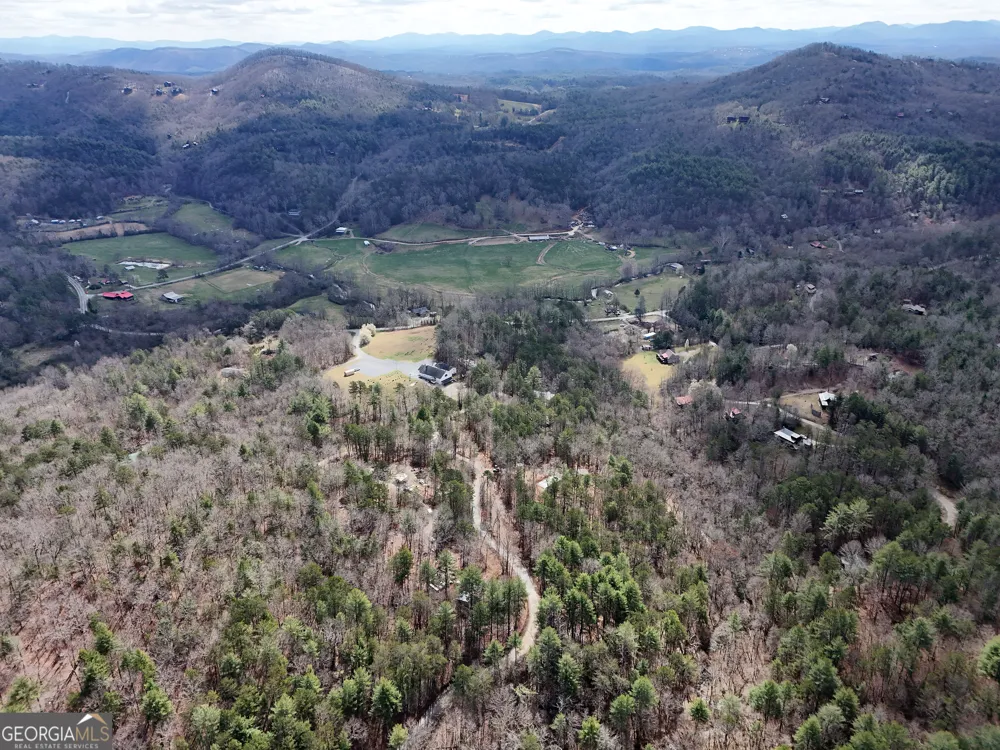 LT 45A Synacia DR Mineral Bluff, GA 30559