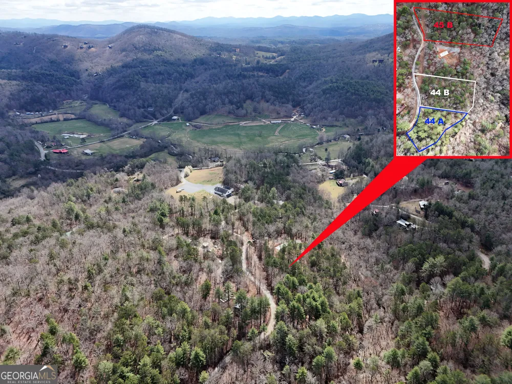 LT 45A Synacia DR Mineral Bluff, GA 30559