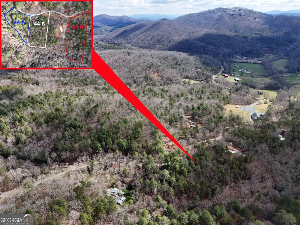 LT 45A Synacia DR Mineral Bluff, GA 30559