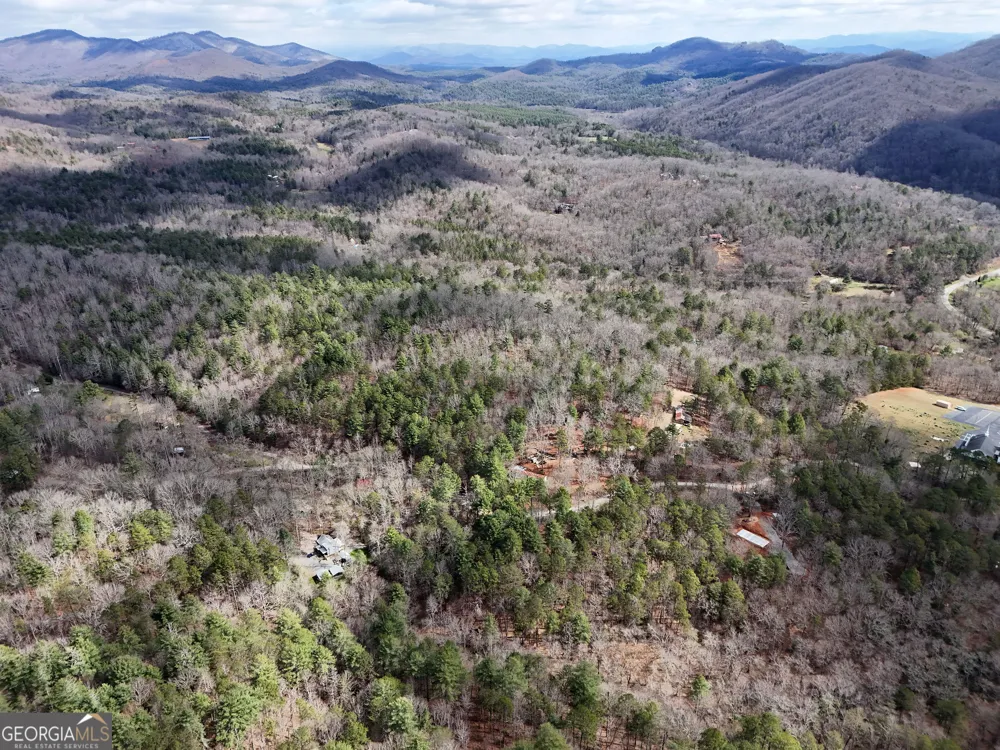 LT 45A Synacia DR Mineral Bluff, GA 30559