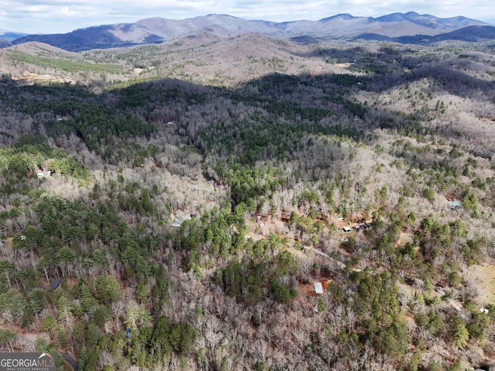LT 45A Synacia DR Mineral Bluff, GA 30559