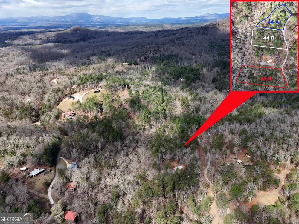 LT 45A Synacia DR Mineral Bluff, GA 30559
