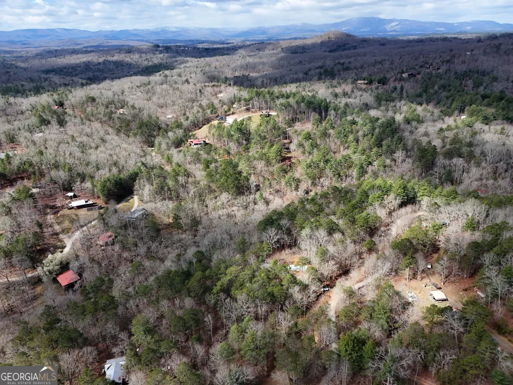 LT 45A Synacia DR Mineral Bluff, GA 30559