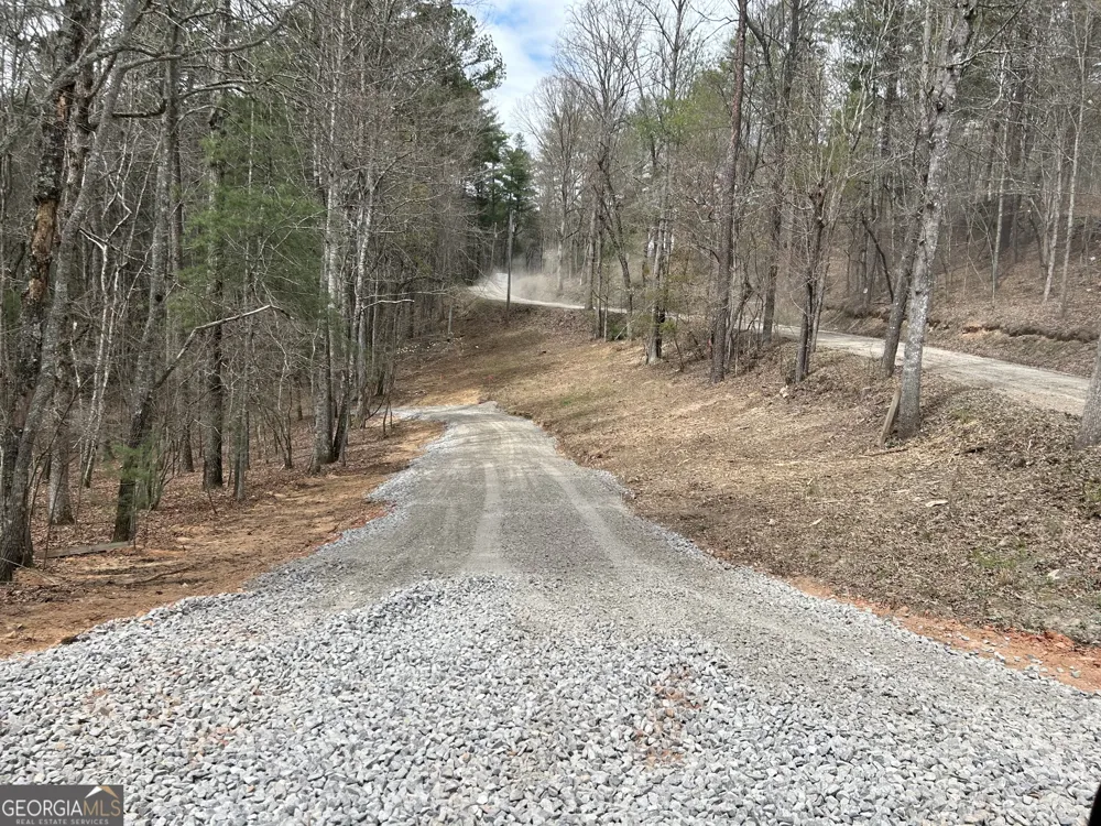 LT 45A Synacia DR Mineral Bluff, GA 30559