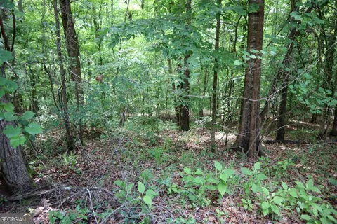 LT.102 Village CT SW