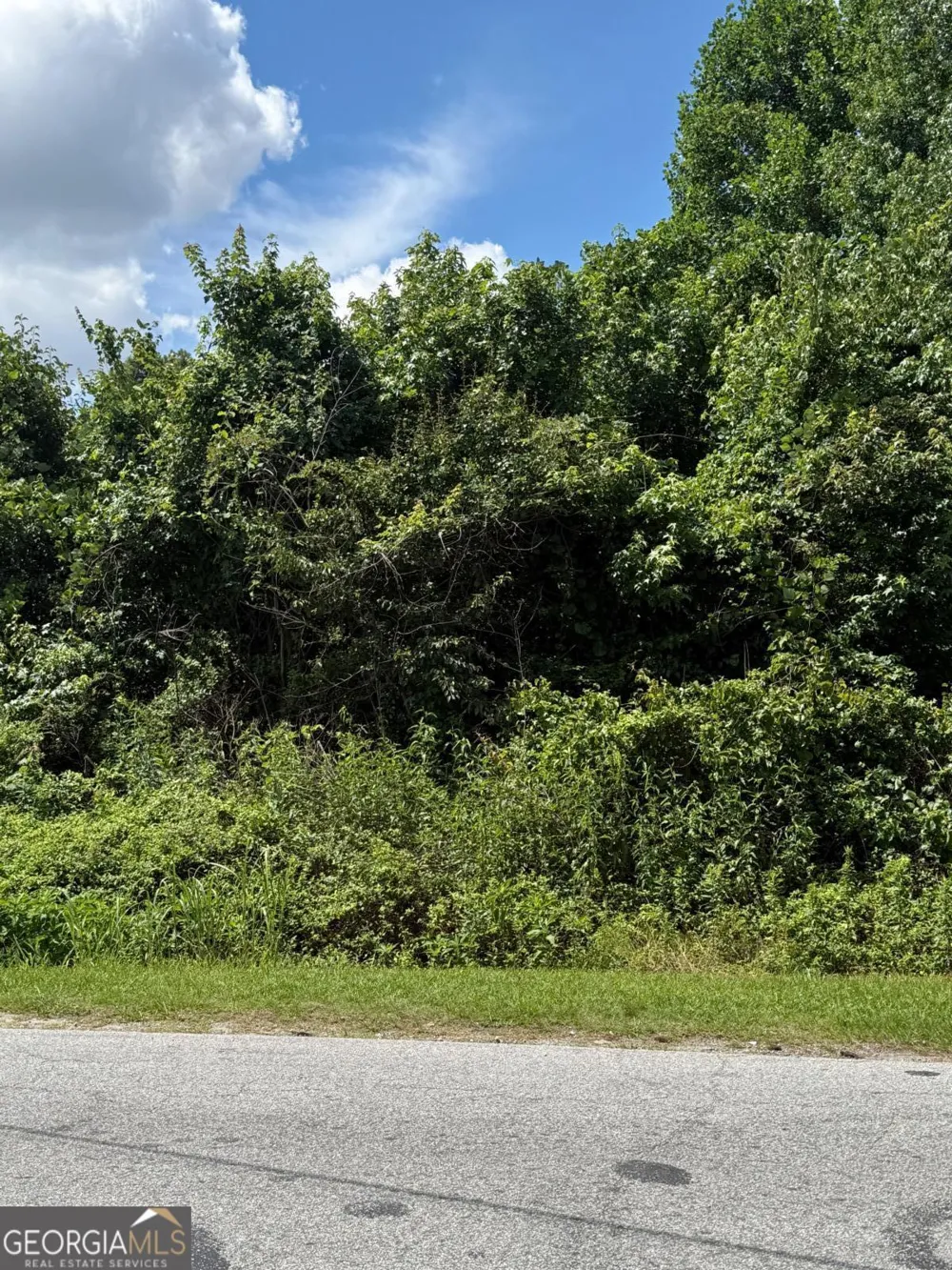 0 Metcalf RD Forest Park, GA 30297