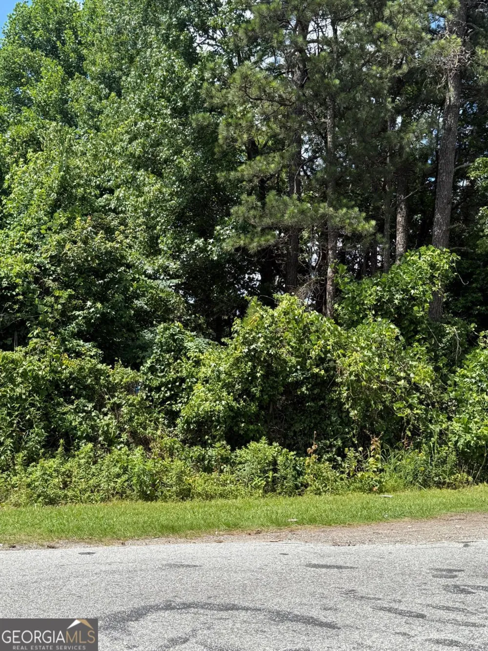 0 Metcalf RD Forest Park, GA 30297