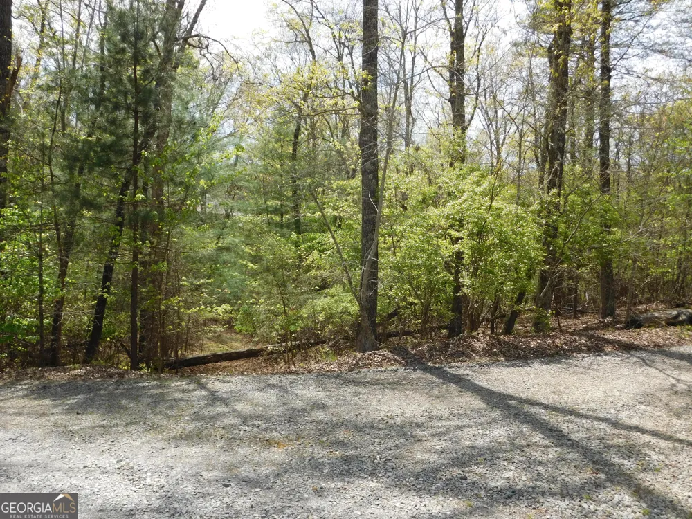 0 Dallas LN Blue Ridge, GA 30513