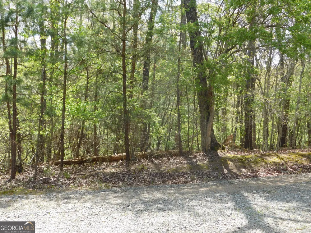 0 Dallas LN Blue Ridge, GA 30513