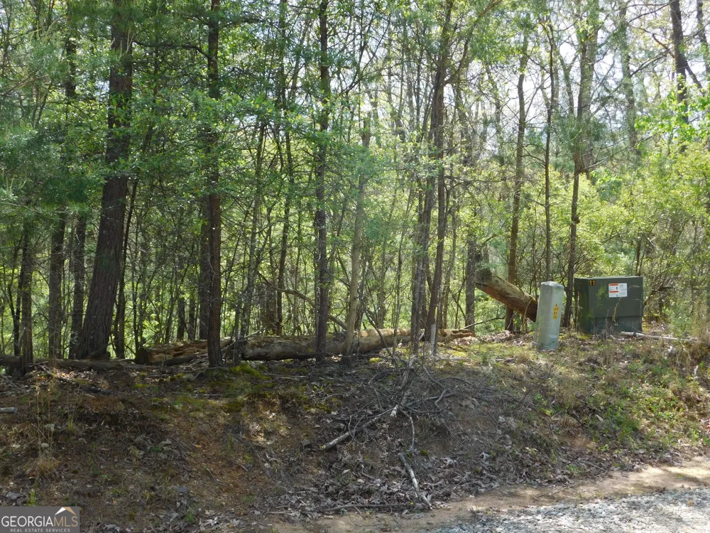 0 Dallas LN Blue Ridge, GA 30513