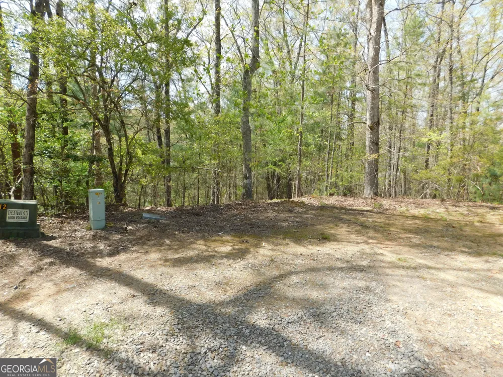 0 Dallas LN Blue Ridge, GA 30513