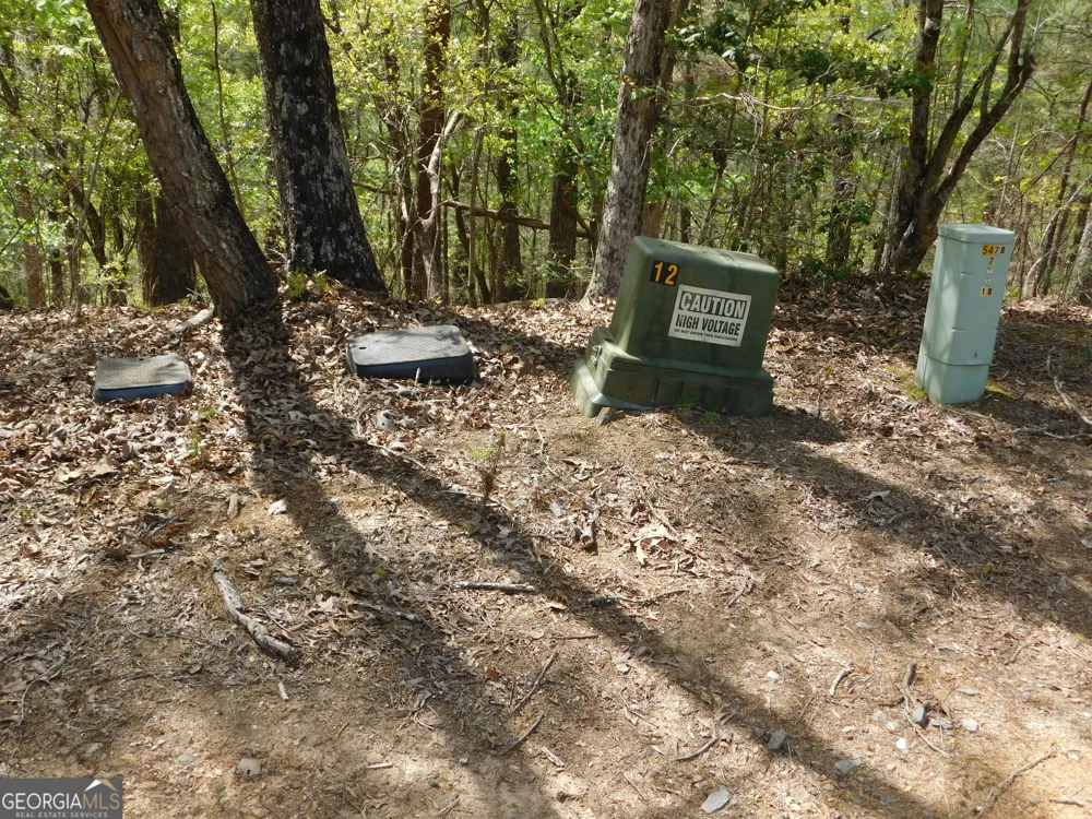 0 Dallas LN Blue Ridge, GA 30513