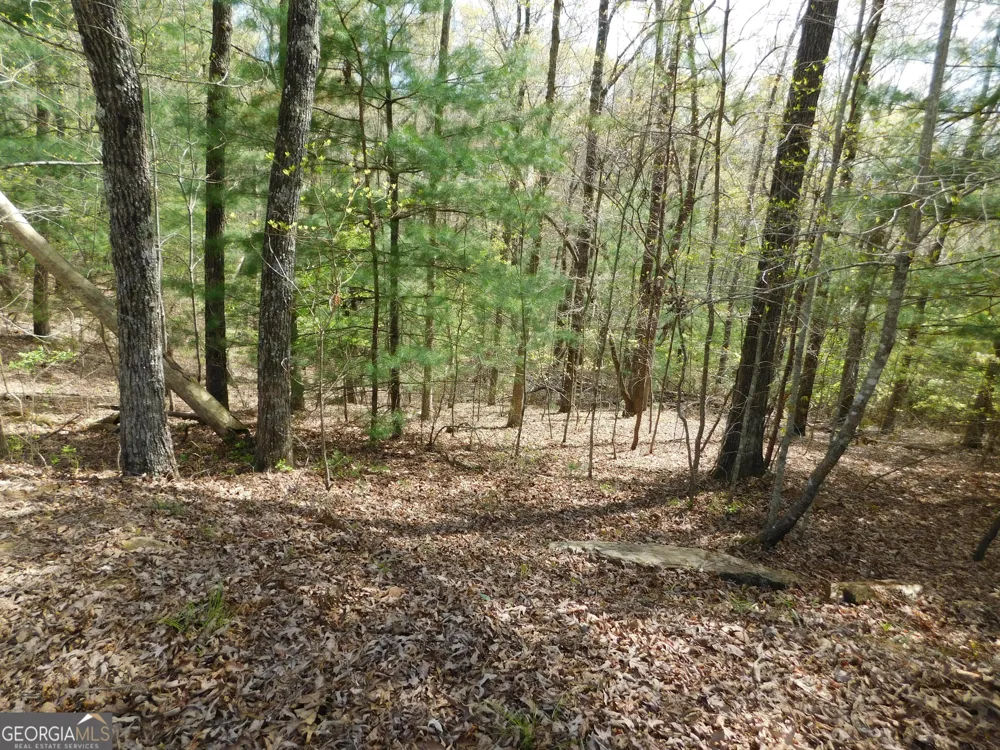 0 Dallas LN Blue Ridge, GA 30513