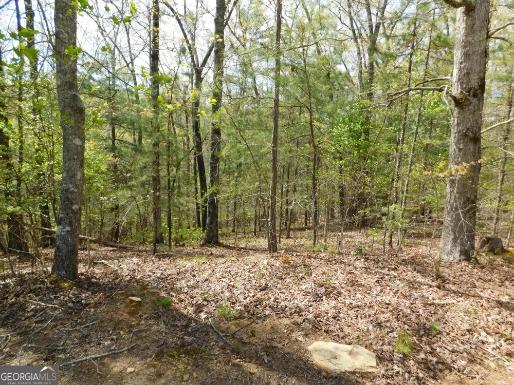 0 Dallas LN Blue Ridge, GA 30513