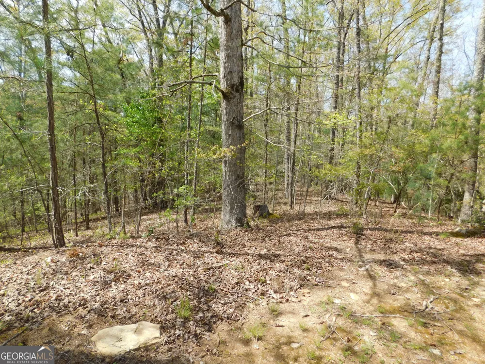 0 Dallas LN Blue Ridge, GA 30513
