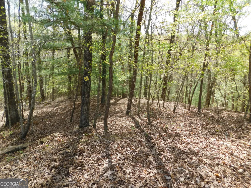 0 Dallas LN Blue Ridge, GA 30513