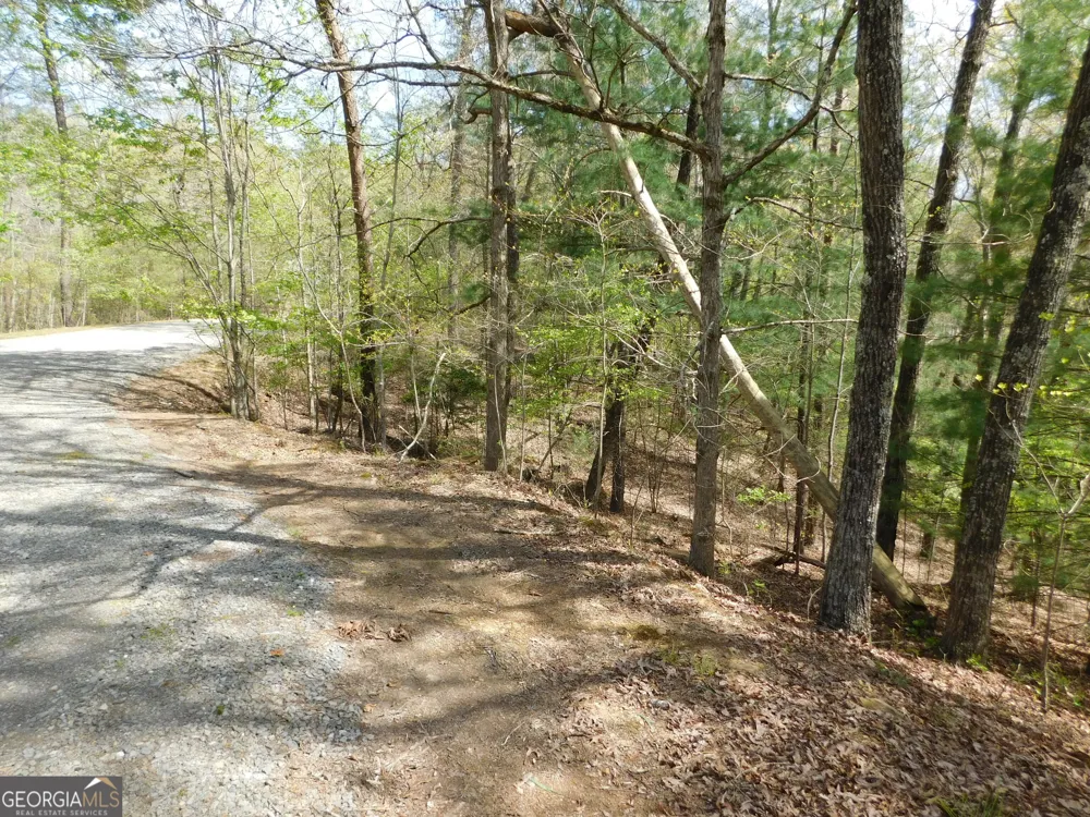 0 Dallas LN Blue Ridge, GA 30513