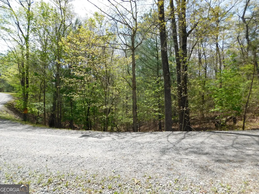 0 Dallas LN Blue Ridge, GA 30513