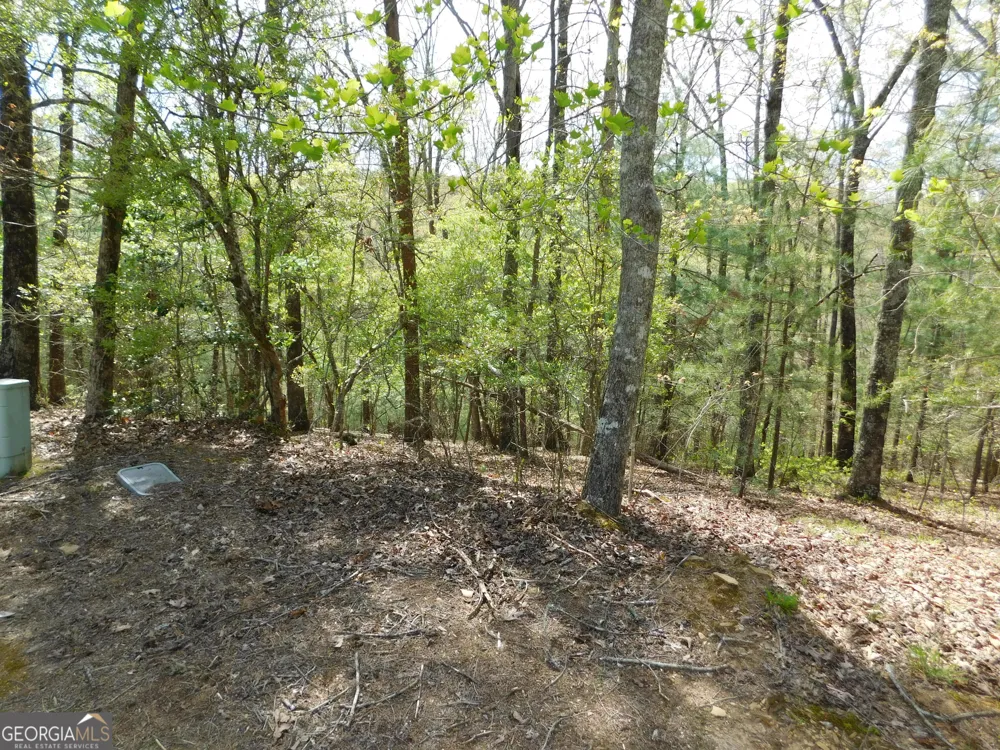 0 Dallas LN Blue Ridge, GA 30513