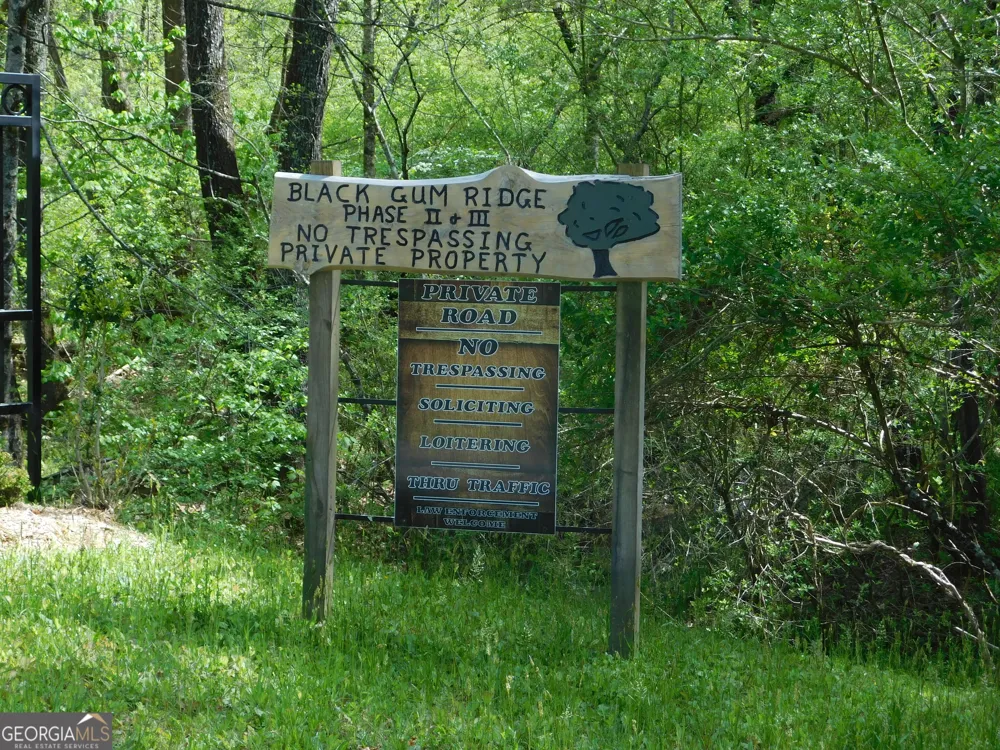 0 Dallas LN Blue Ridge, GA 30513