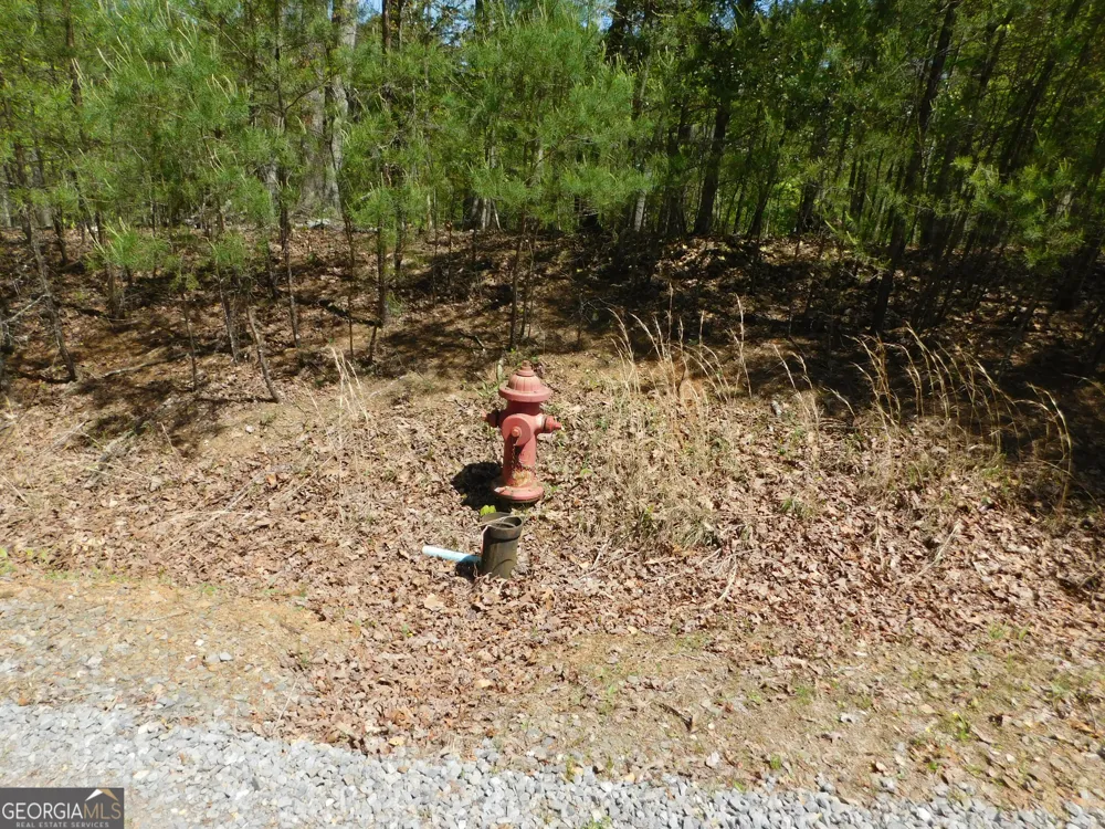 0 Dallas LN Blue Ridge, GA 30513