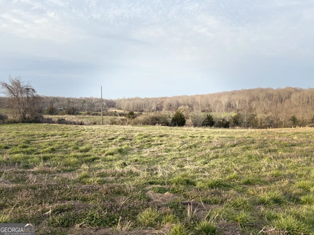 18 W L Williams Commerce, GA 30530