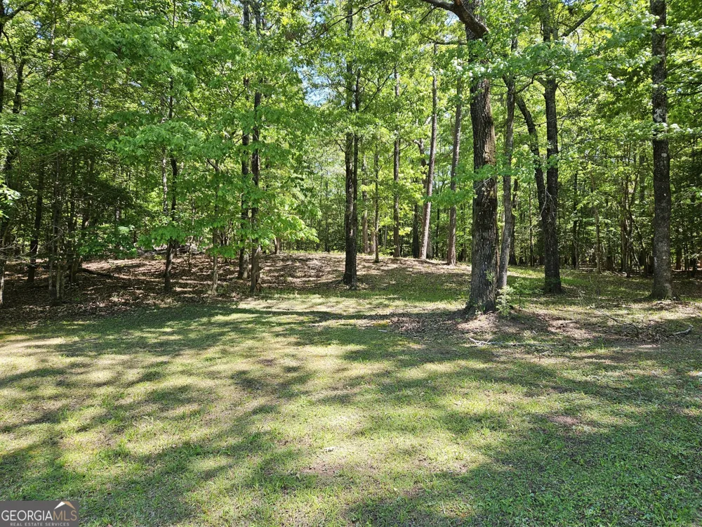 200 Gates RD Lizella, GA 31052
