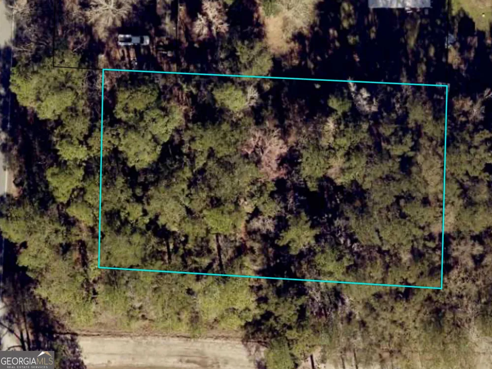 0 US Highway 17 Waverly, GA 31565