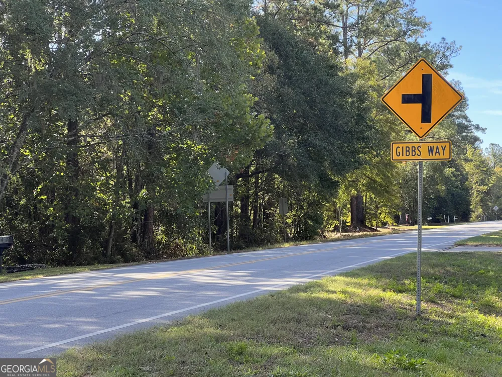 0 US Highway 17 Waverly, GA 31565