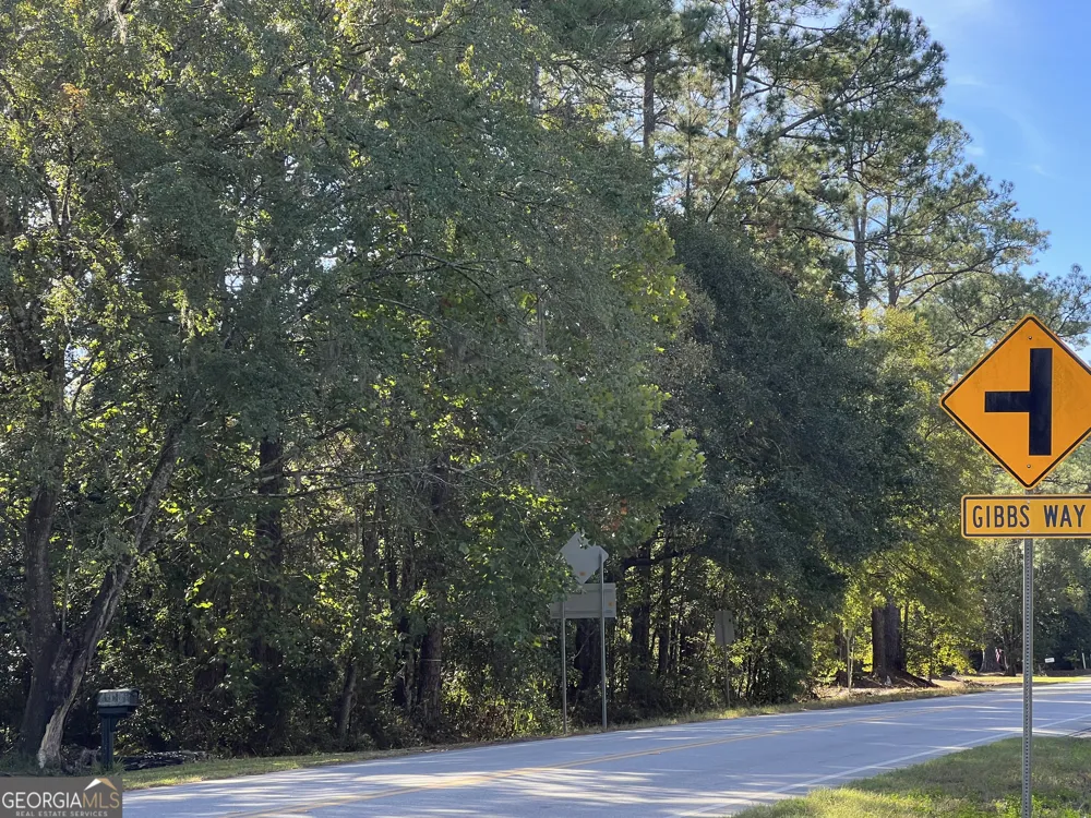 0 US Highway 17 Waverly, GA 31565