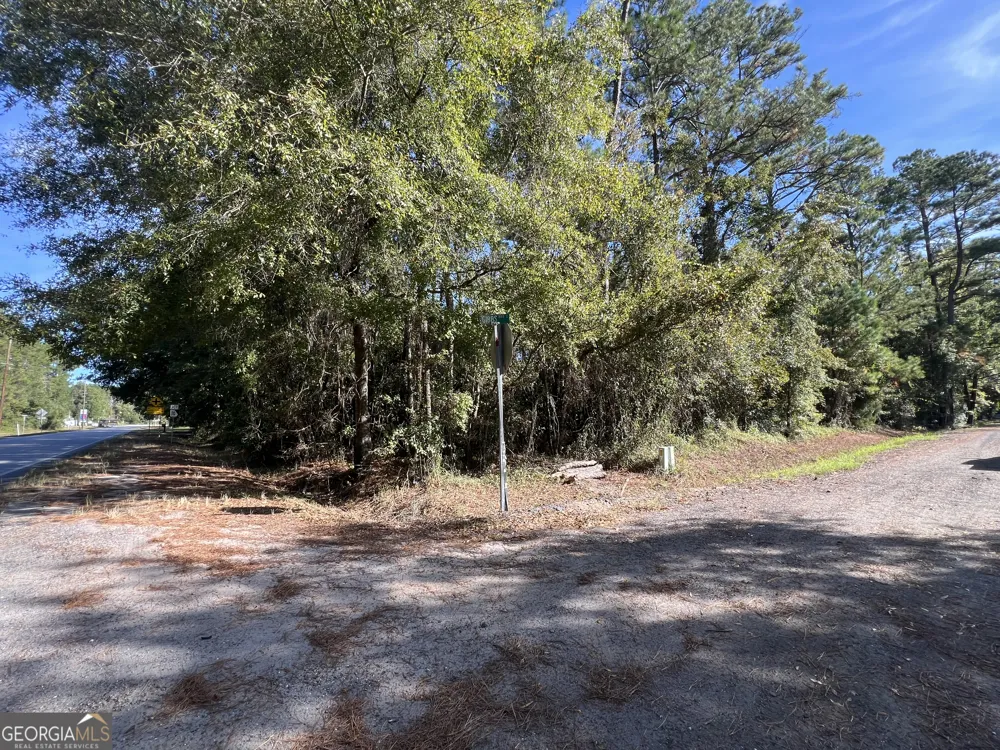 0 US Highway 17 Waverly, GA 31565