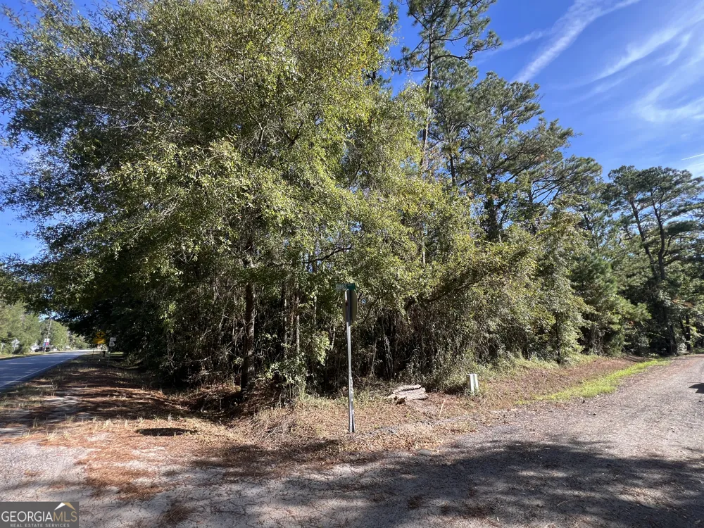 0 US Highway 17 Waverly, GA 31565