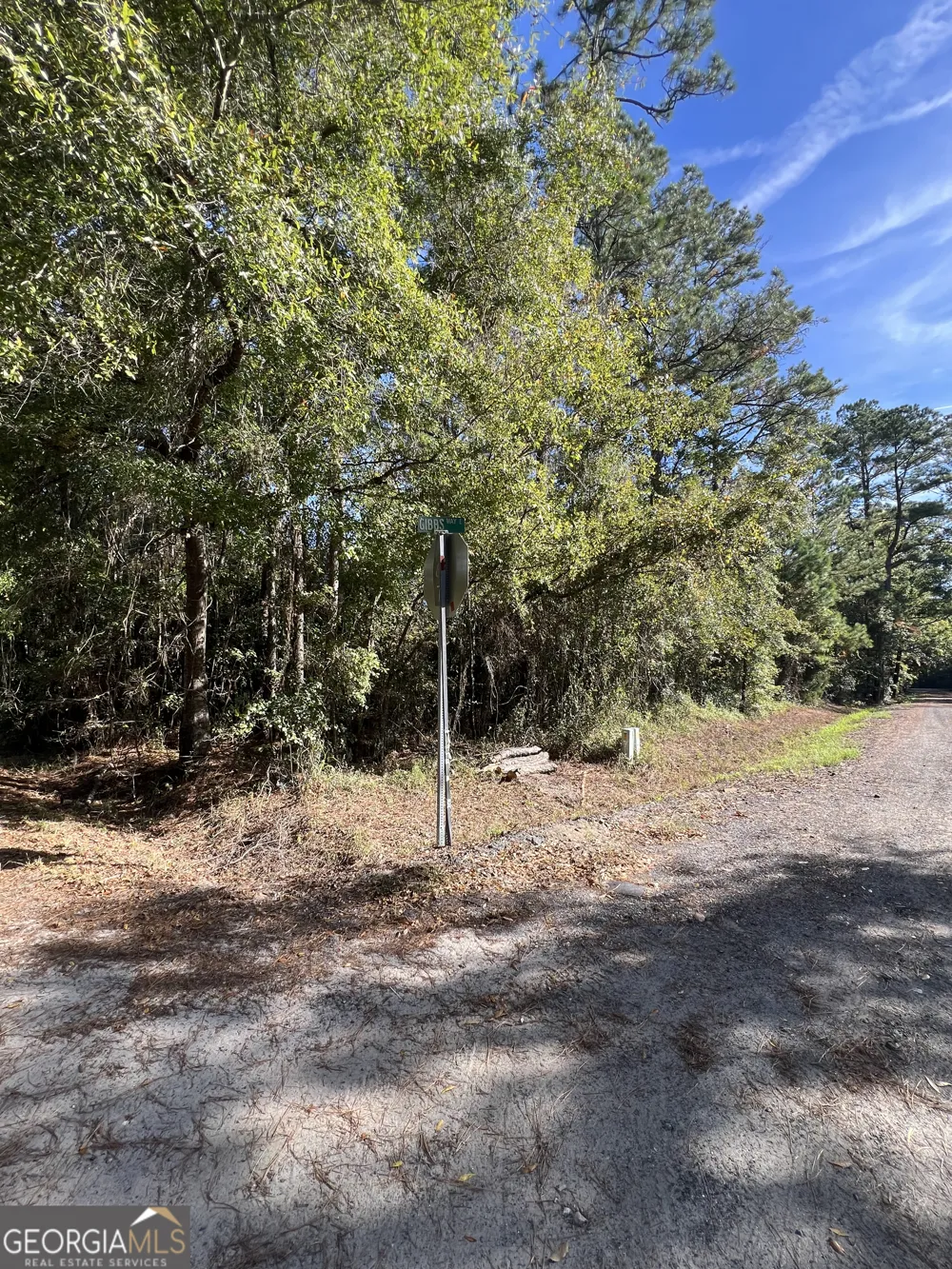 0 US Highway 17 Waverly, GA 31565