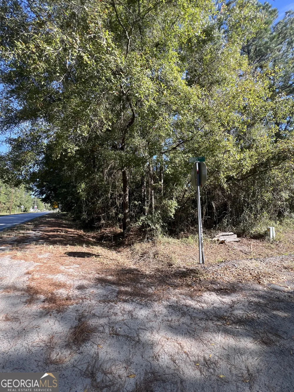0 US Highway 17 Waverly, GA 31565