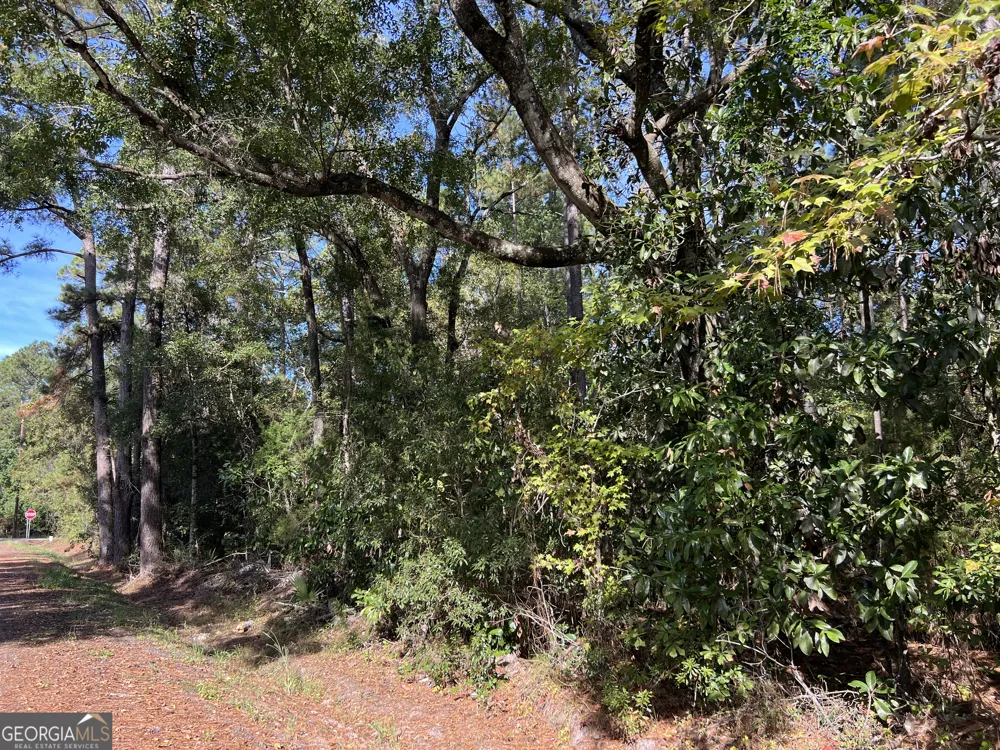 0 US Highway 17 Waverly, GA 31565